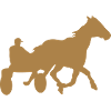 cheval course hippique jockey