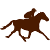 cheval course hippique