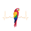 Parrot heartbeat