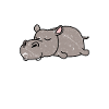 hippo