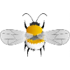 Hummel