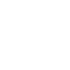 Max 33