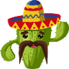 Cactus cactus Mexican