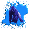 Blue Gorilla