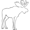 Moose