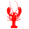 Lobster red food cook seafood