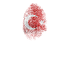 DNA Turkey