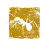 Ant