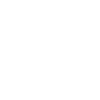 Ant