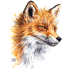 Fuchs | fox