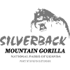 gorilla - Silberrücken - africa