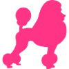 Caniche