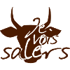 Je vois salers