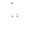 alpaca