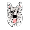 Wild White Wolf