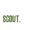 Scouting