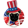 Fourth Of July Dog
