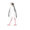 manchot
