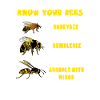 Beekeeping Honey Bee Beekeeper Pollination