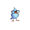 Birdwatching Birding Binoculars Birdwatcher