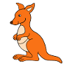 Kangaroo baby
