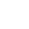 Trucker Evolution