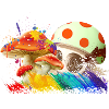 Mushrooms