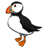 Puffin fugle dyr natur dyreliv gave