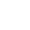 Born to Fly