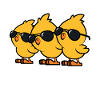 Chicks
