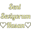 Seni Seviyorum Hasan