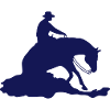 reining sliding stop westernrider