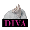 Naked Cat - DIVA