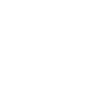 Raccoon animal