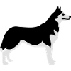 Husky