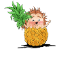Igel-Ananas