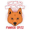 Finnischer Spitz