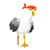Seagull pirate pirate captain