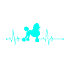 Poodle heartbeat