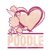 poodle
