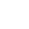 Squirrel fan