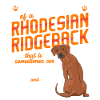 Rhodesian Ridgeback