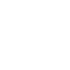 Cairn Terrier
