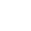 Big schnauzer