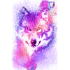 wolf purple