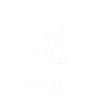 Rabbits