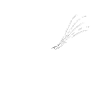 Saxofon