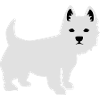 Westie
