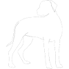 Rhodesian Ridgeback