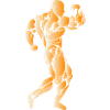 Musculation